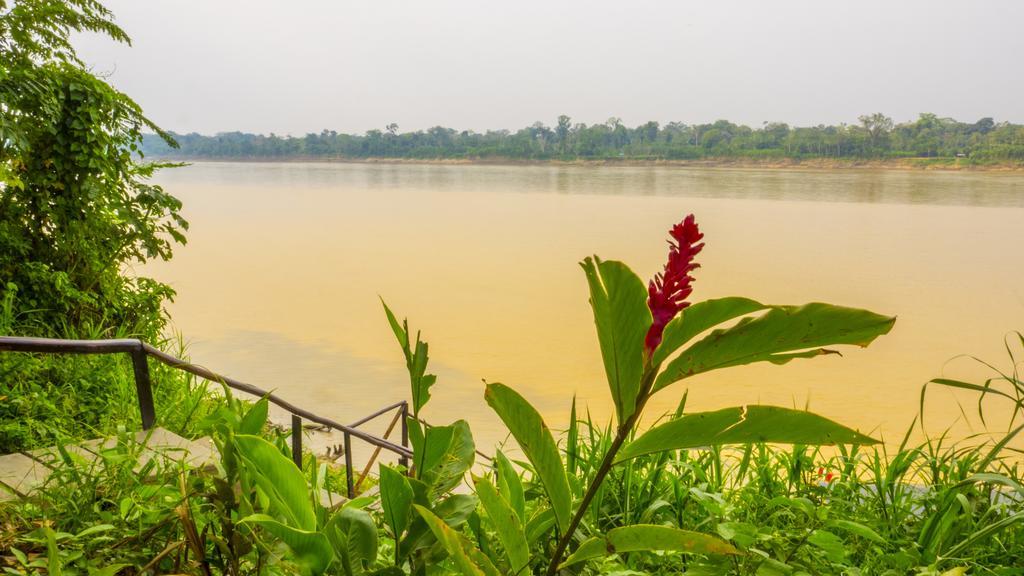 Hotel Amazon Planet Tambopata Exterior foto